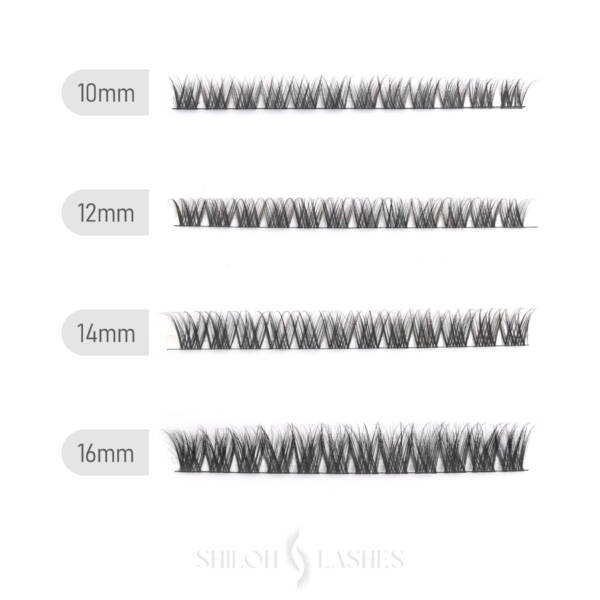 The Agile DIY Lash Extension Kit (Bold & Beautiful) - Image 4